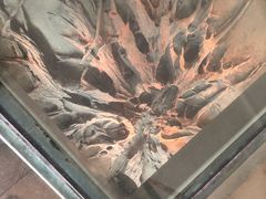 -金沙遗址博物馆