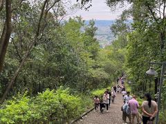 -神光山国家森林公园