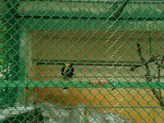 -广东茂名森林公园