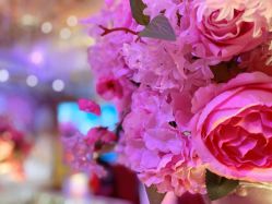 -谛融婚礼酒店·宴会厅(花园店)