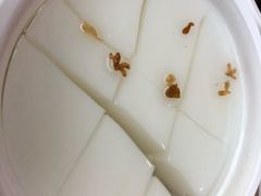-三元梅园(团结湖店)