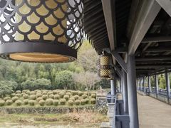-兰亭风景区