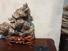 -中华赏石园