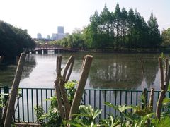 -黄兴公园