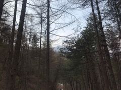 -秦岭风景区