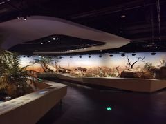 -武汉园博园(武汉自然博物馆)
