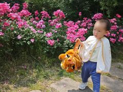 -秦皇岛秦皇国际大酒店