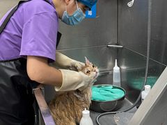 -北京观赏动物医院·24小时大型综合·猫专科·异宠专科