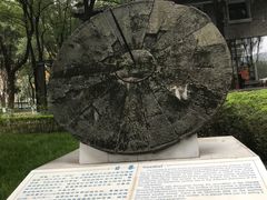 -重庆市江北嘴中央商务区中央公园