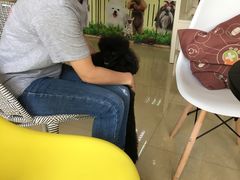 -瑞鹏宠物医院·骨科·猫科·内科(第一中心)