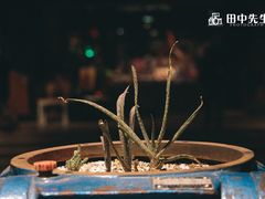 -403国际艺术中心