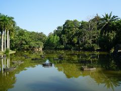 -中国科学院西双版纳热带植物园