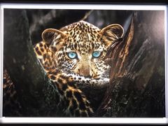 -罗红摄影艺术馆