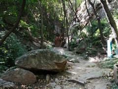 -大岭沟猕猴桃谷风景区