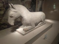 -宁夏博物馆
