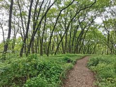 -西溪南古村落景区