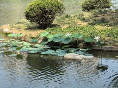 -木塔寺遗址生态公园