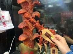 老长沙大香肠-黑色经典臭豆腐·湖南特产(坡子街店)