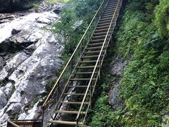 -青峰峡国家森林公园