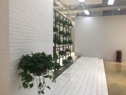 点击看大图 -P.STYLE派斯造型