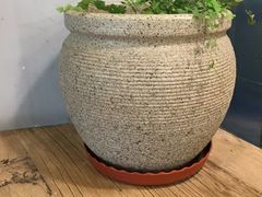 -喜识·冰糖葫芦·炒酸奶(西美花街店)