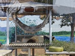 -苏州太湖国家湿地公园