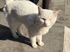 -兴福老面馆(寺路街店)