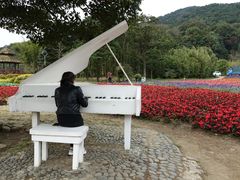 景点-广州市石门国家森林公园