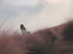 -映月湖中央公园