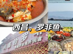 -风鑫铃罗非鱼(道沟店)