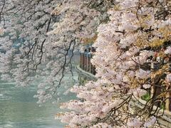 -红星桥(地铁站)