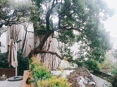-吴山景区