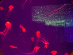 -波塞冬旅游度假区