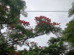 -龙舟池