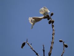 -金鸡山公园