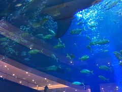 -成都浩海立方海洋公园