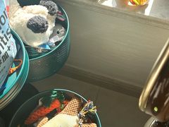 -翊宠yipet猫狗购宠庄园犬舍•猫舍