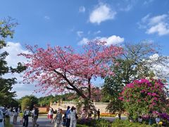 -东莞植物园