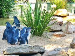 -费瑟代尔野生动物园