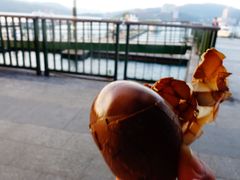 -金盆阿嬷香菇茶叶蛋(玄光店)