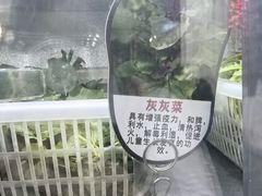 -黔府豆米火锅野菜馆(南马店)