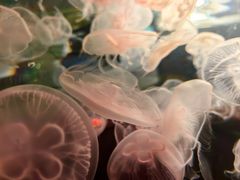 -横店影视城梦幻谷园区