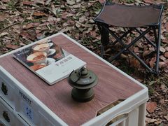 -南宁良凤江国家森林公园