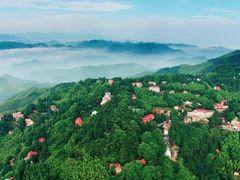 -莫干山风景区