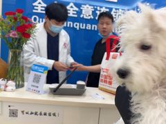 -全心全意连锁动物医院·微创中心·内科急重症·心脏专科(丰管路店)