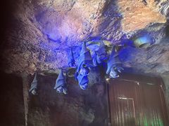 -新加坡水上探险乐园
