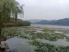 -鸣鹤古镇