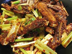 干锅鸭翅小份-掌上鲜(南顺城街店)