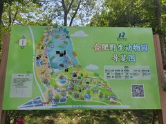 -合肥野生动物园