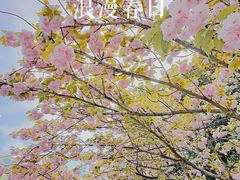 -徐家汇公园